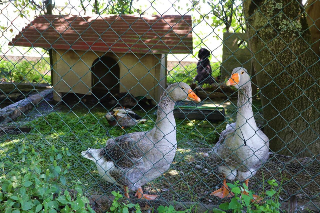 Willa Casa Da Breia Carregadouro Zewnętrze zdjęcie
